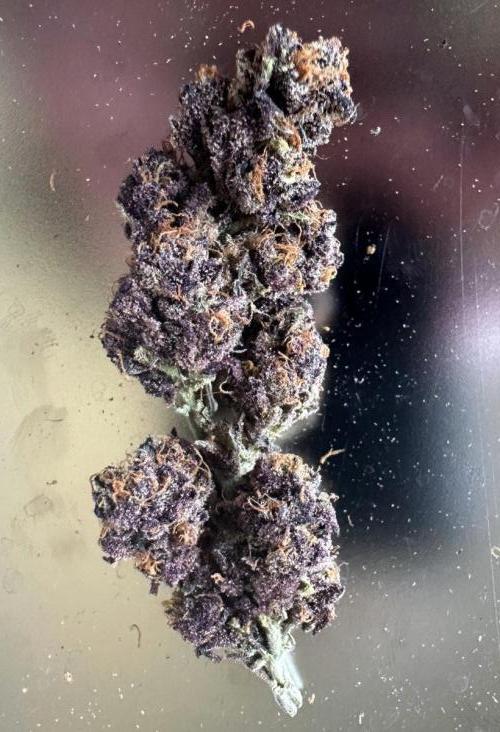 #1ST PHOTOS: SlushMintCake&SkywalkerHaze. Week 24