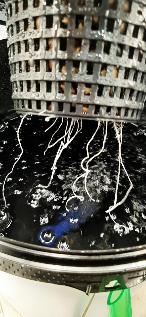 First time DWC. Week 2