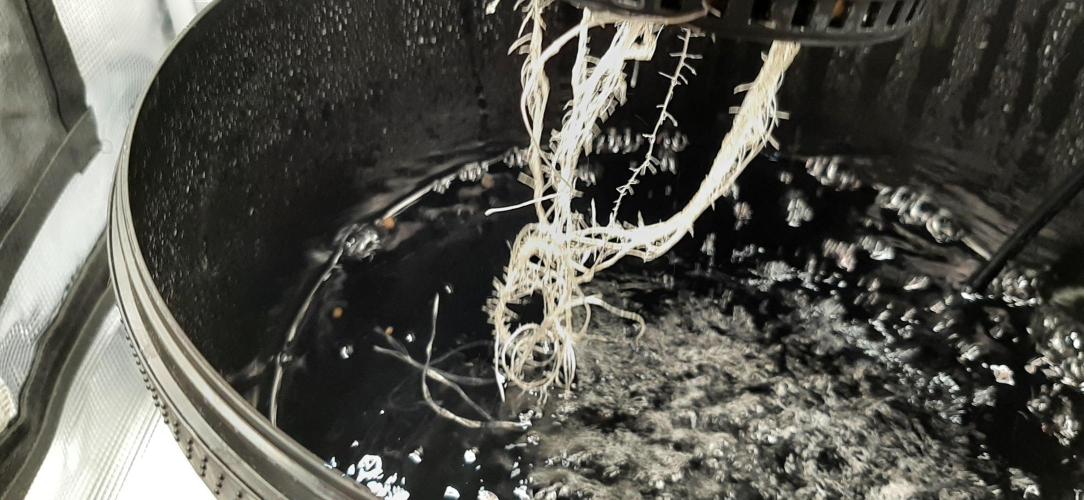 First time DWC. Week 3