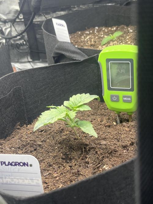Super boof auto. Week 1 - Day 9
