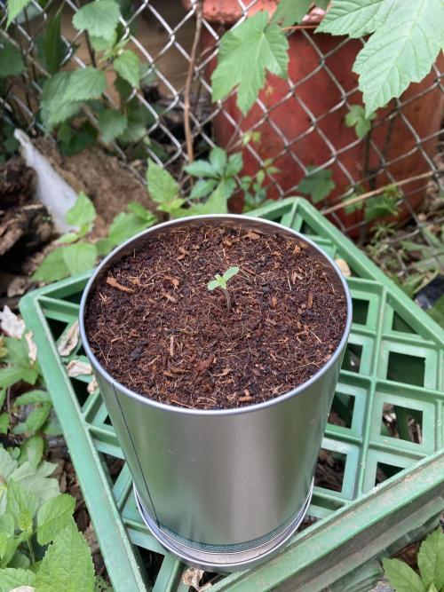 A noobs journey. Week 0 - 14 hours later. May 18