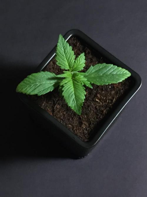 AlwaysWet. Week 2 - 14