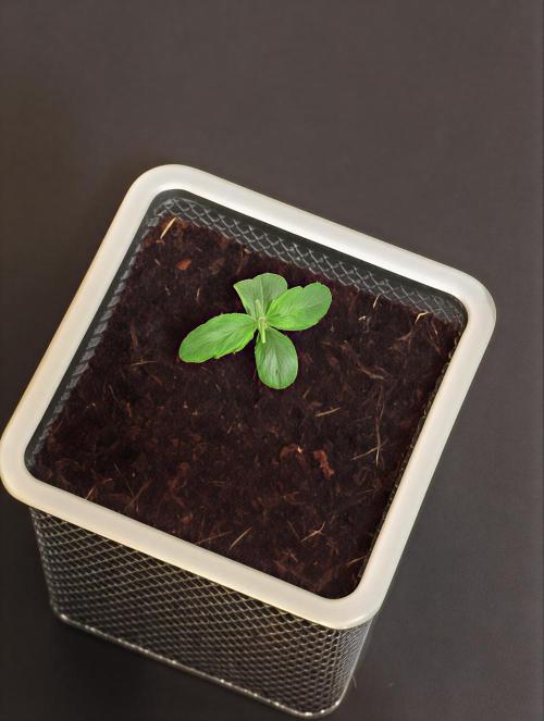 MyTightBox. Week 1 - 6