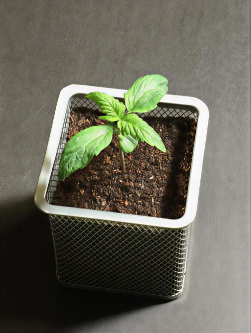 MyTightBox. Week 2 - 9