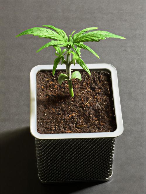 MyTightBox. Week 2 - 13