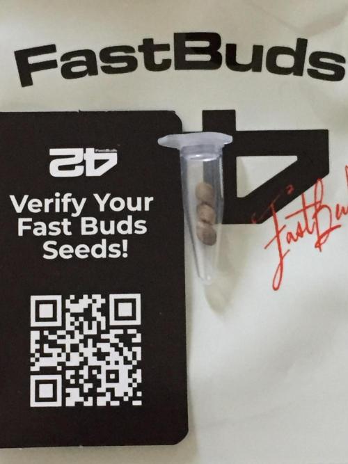 FastBuds 2026 Outdoor Contest. Week 0