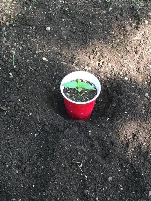 FastBuds 2026 Outdoor Contest. Week 2 - 10