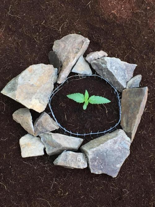 FastBuds 2026 Outdoor Contest. Week 2 - 10