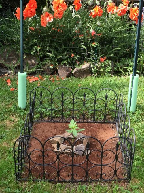 FastBuds 2026 Outdoor Contest. Week 3 - 18