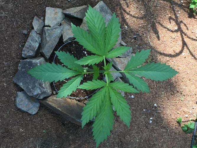 FastBuds 2026 Outdoor Contest. Week 4 - 28