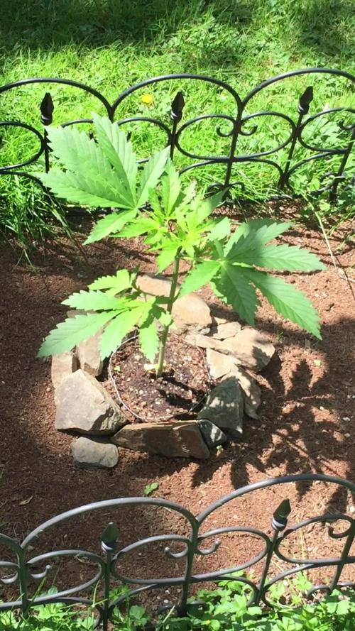 FastBuds 2026 Outdoor Contest