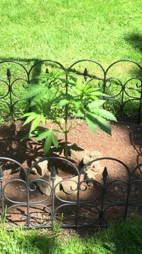 FastBuds 2026 Outdoor Contest
