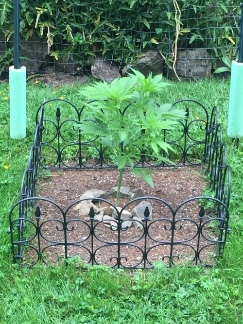 FastBuds 2026 Outdoor Contest. Week 7 - Day 46