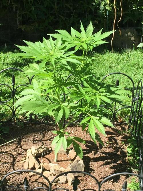 FastBuds 2026 Outdoor Contest. Week 8 - Day 53