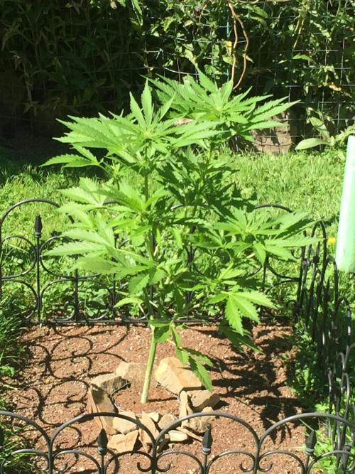 FastBuds 2026 Outdoor Contest. Week 8 - Day 55