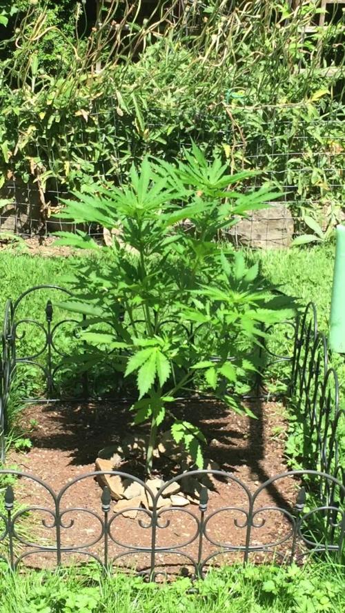 FastBuds 2026 Outdoor Contest