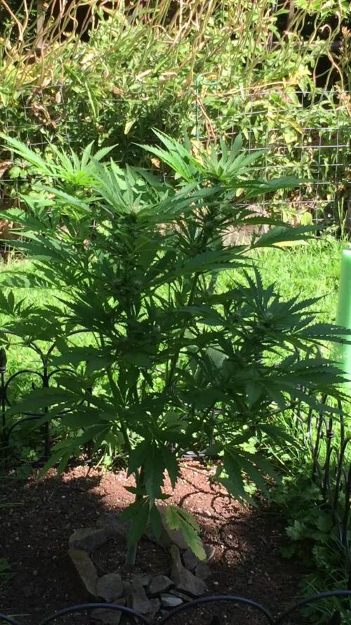 FastBuds 2026 Outdoor Contest