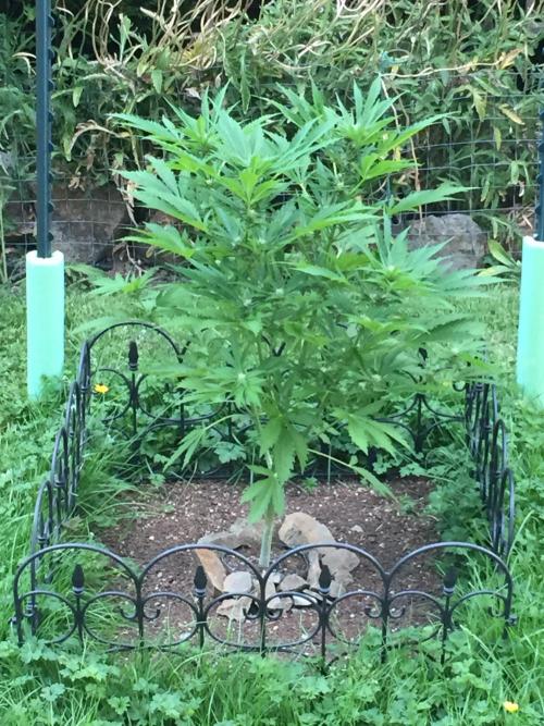 FastBuds 2026 Outdoor Contest. Week 10 - Day 64