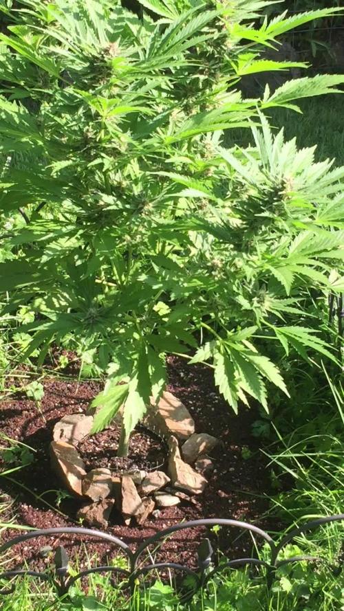 FastBuds 2026 Outdoor Contest