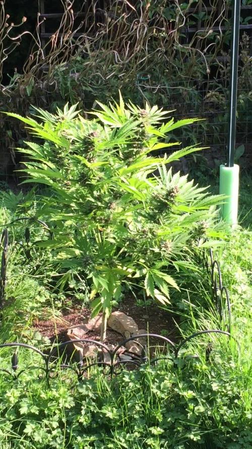 FastBuds 2026 Outdoor Contest