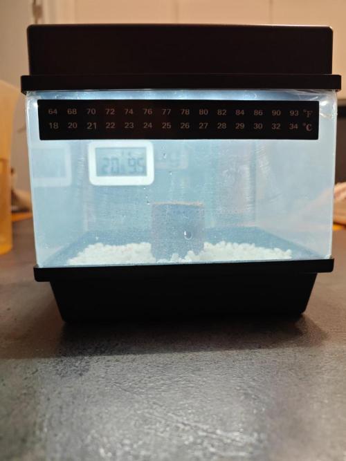 Stress Killer CBD Auto Royal Queen Seeds. Week 0