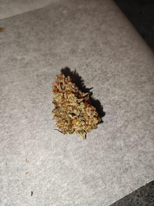 Northern Light Auto by RQS. Week 12