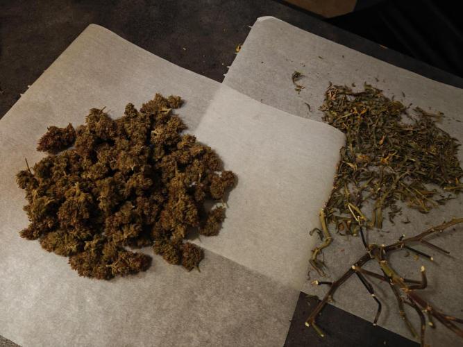 Northern Light Auto by RQS. Week 12