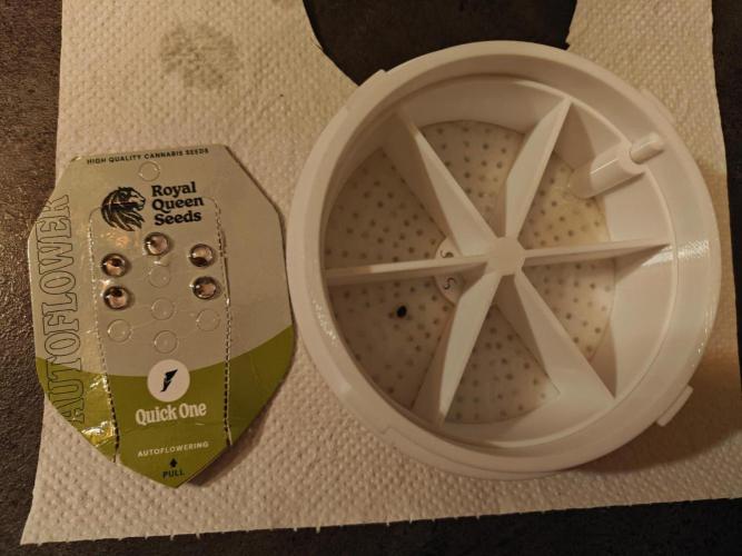 Quick one by RQS in 3D printed pot. Week 0 - Start of germination 18/01/2026