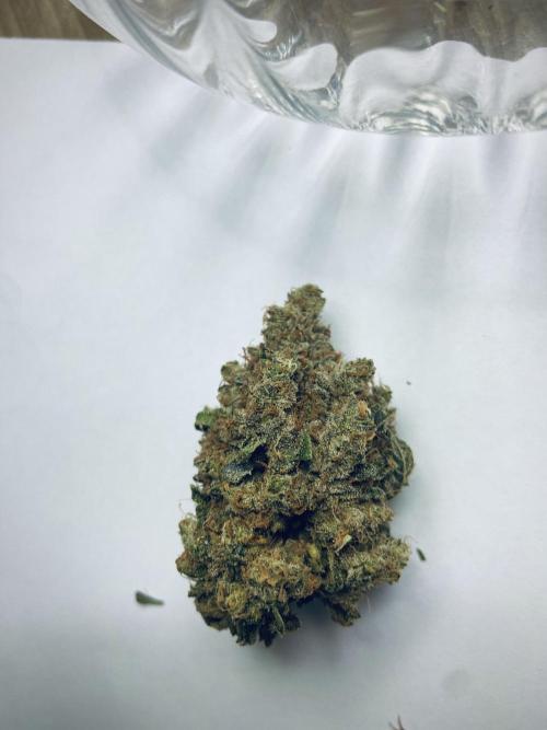 Ciclo 2/2025. Week 16