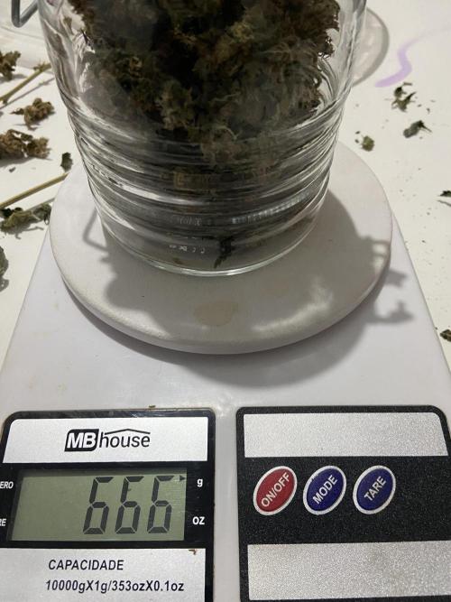 Ciclo 2/2025. Week 16