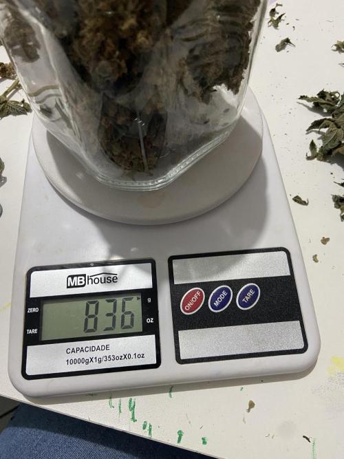 Ciclo 2/2025. Week 16