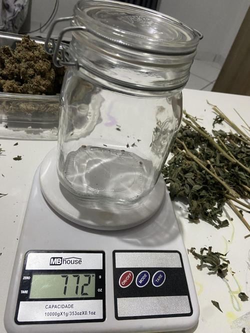 Ciclo 2/2025. Week 16 - Tara