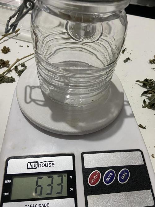 Ciclo 2/2025. Week 16 - Tara