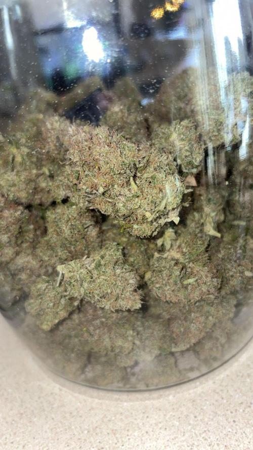 Headbanger 505. Week 8
