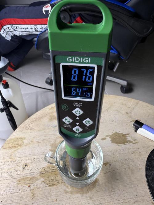 Critical-cookies gelato fotoperiodiche. Week 7 - EC di ingresso. 0,876
