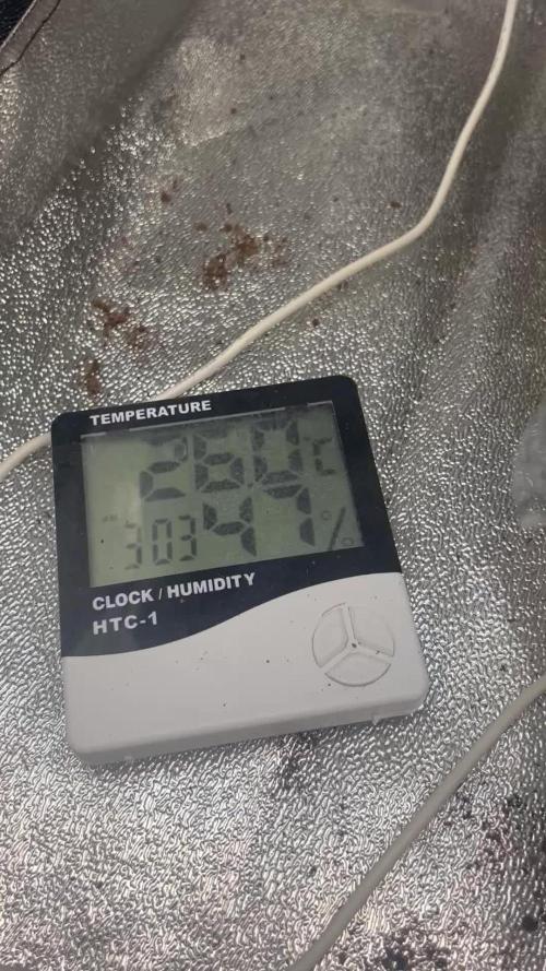 Tropical Indoor Season