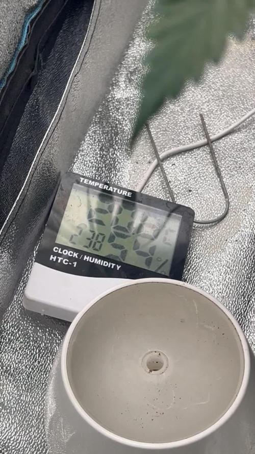 Tropical Indoor Season