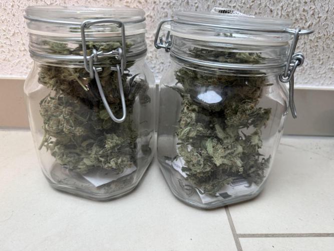 ☃️‼️Indoor. Week 12