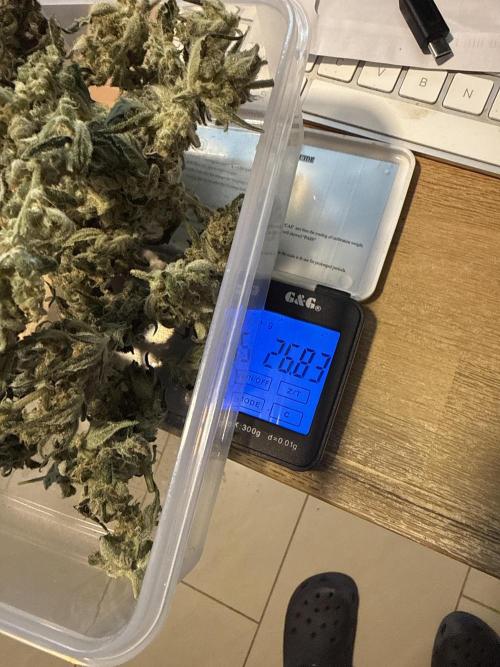 ☃️‼️Indoor. Week 12