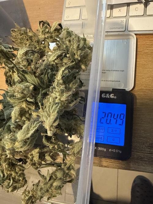 ☃️‼️Indoor. Week 12