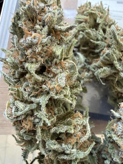 🍋🥤⬆️. Week 12