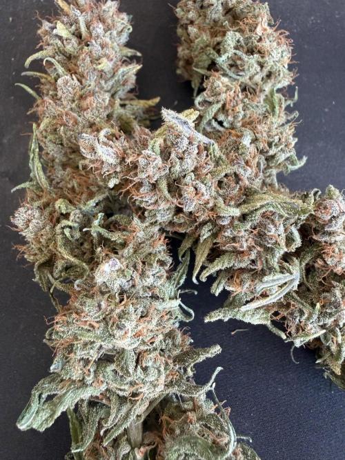 🍓🦍. Week 12
