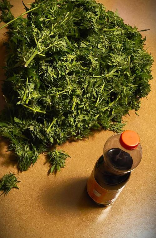 Special Kush 1 by Ferrox Kollektiv. Week 25