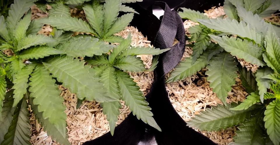 G13 Hellfire. Week 3