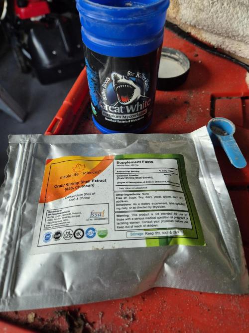 WSXpress Trio. Week 3 - Mico and Chitosan for transplant