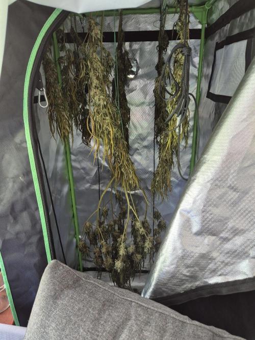 AUS Outdoor 25/26. Week 13