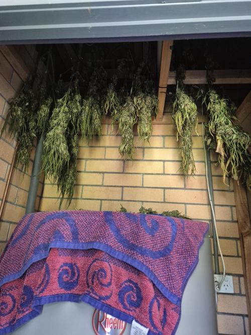 AUS Outdoor 25/26. Week 13