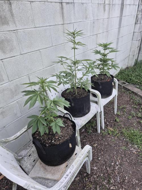 WSXpress Trio. Week 5 - Stretching 