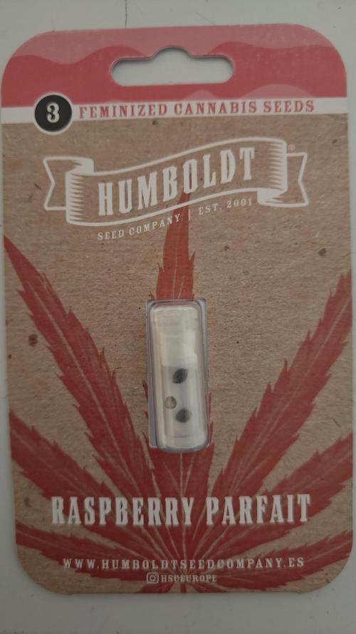 Blue Zushi x Raspberry Parfait. Week 0 - Humboldt seed company - Raspberry Parfait