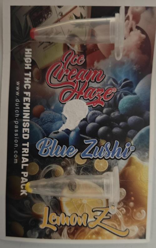 Blue Zushi x Raspberry Parfait. Week 0 - Dutch Passion - Blue Zushi